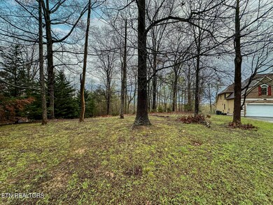 0 David Swann Dr unit 1323758, Dandridge, TN 37725 - photo 6