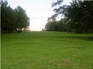 Lovely meadows and trees abound