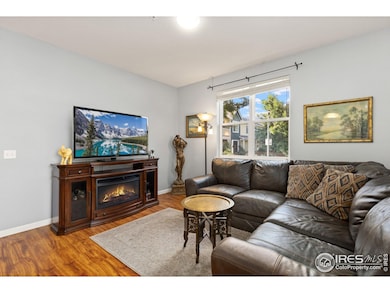 237 Cardinal Way, Longmont, CO 80501 - photo 5