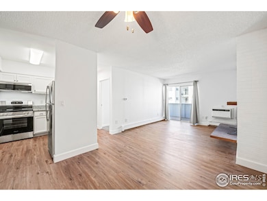 Living Room and Kitchen
