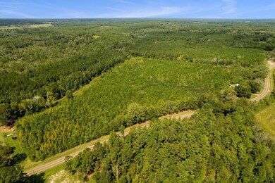 Parcel 1 Coppers Ford Rd, Tylertown, MS 39667 - photo 2