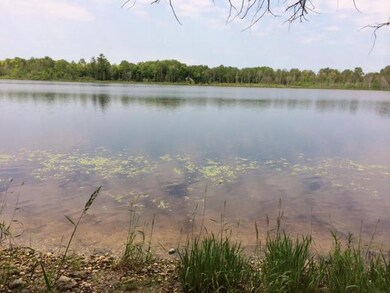 photo 3 (2)