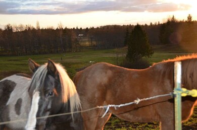 32620 English Grade Rd, Stanwood, WA 98292 - photo 7