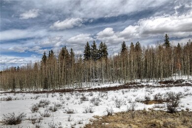 151 Mustang Ct, Como, CO 80432 - photo 3