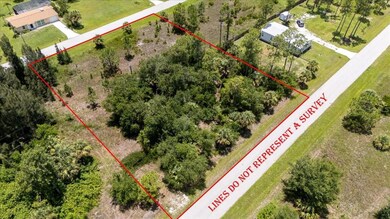 26469 Brooks Rd, Punta Gorda, FL 33955 - photo 2