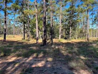 054 Private Road 6028, Brookeland, TX 75931 - photo 3