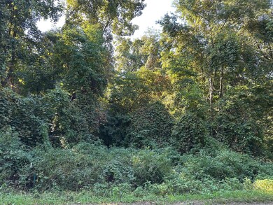 00 E Division Rd, La Porte, IN 46350 - photo 2