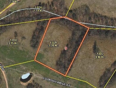 3.28 Lookout Ridge Ct, Noel, MO 64854 - photo 6