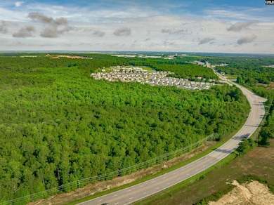 0 Highway 321, West Columbia, SC 29172 - photo 7