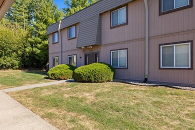 4781 Woodland Ave unit 2, West Des Moines, IA 50266 - photo 4