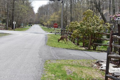 102 Mink Ct, Dingmans Ferry, PA 18328 - photo 3