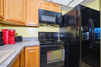 12932 3rd St, Fort Myers, FL 33905 - photo 5