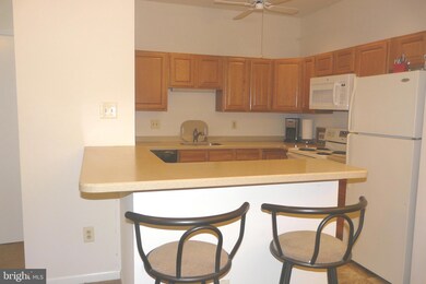 1603 Naomis Ct, North Wales, PA 19454 - photo 4