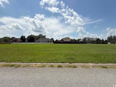 27,28 Trent Ln, Murray, KY 42071 - photo 2