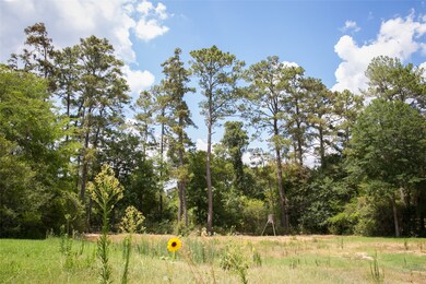 24609 Pine Ridge Rd, Hockley, TX 77447 - photo 6