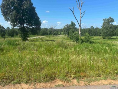 View of undeveloped land