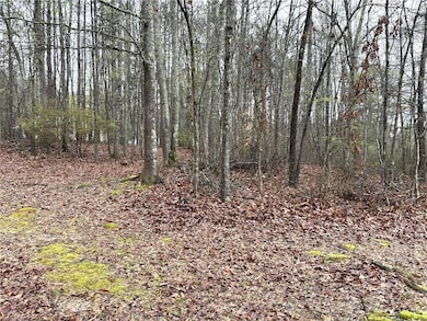 View of local wilderness