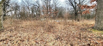 6629 W 135th Place, Cedar Lake, IN 46303 - photo 4