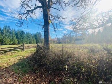 150 Howe Rd, Toledo, WA 98591 - photo 3