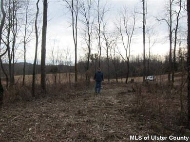 TBD Langridge Rd, Clermont, NY 12583 - photo 6