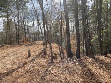 403 & 404 Spring Brook Rd, East Stroudsburg, PA 18302 - photo 4