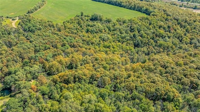 10373 Lookout, Prattsburgh, NY 14873 - photo 6