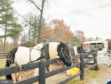 292 Marion Dr, Gordonsville, VA 22942 - photo 6