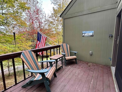 117 Hibernation Way, Davis, WV 26260 - photo 4