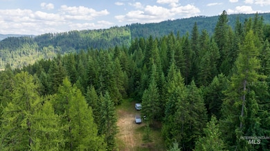 7362 S Dick's Creek Rd, Kendrick, ID 83537 - photo 3