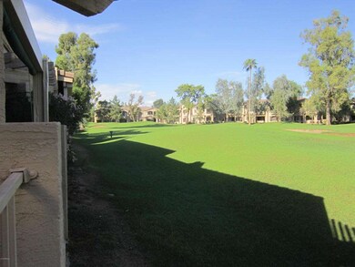 View from the patio