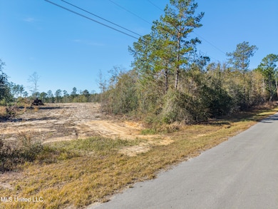 Nsn Country Hill Rd, Lucedale, MS 39452 - photo 2