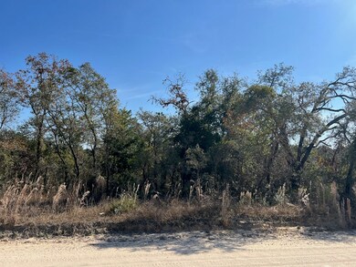 0 NE 127th Ct unit 796113, Williston, FL 32696 - photo 4