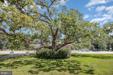 21 Charles St, Carlisle, PA 17013 - photo 6