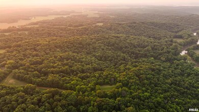 000 N Tarters Ferry Ln, Smithfield, IL 61477 - photo 7