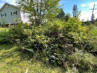 Well Location(1241 Ludlow Road) I
