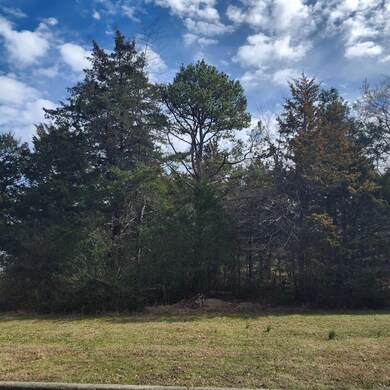 60 Brighton Pointe Ln, Heber Springs, AR 72543 - photo 4