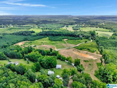 22 Blackberry Ln, Remlap, AL 35133 - photo 3