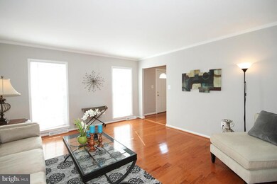 4820 King Solomon Dr, Annandale, VA 22003 - photo 4