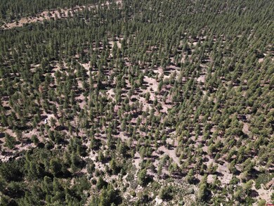 37494 Rd T 7, Mancos, CO 81328 - photo 5