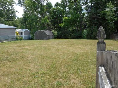 Backyard.