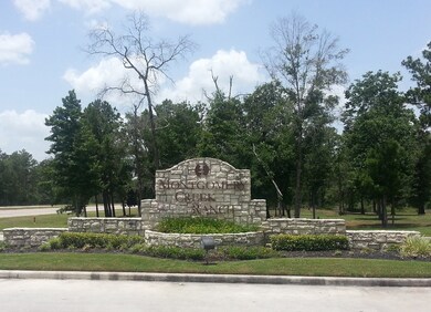 16372 Snowy Egret Ln, Conroe, TX 77385 - photo 5