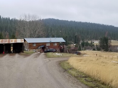 House and shed