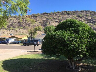 Mountain Views