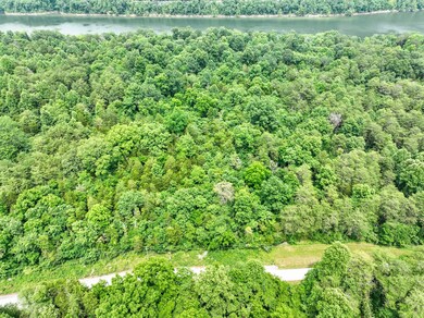 14 Buck Tail, Burnside, KY 42519 - photo 7