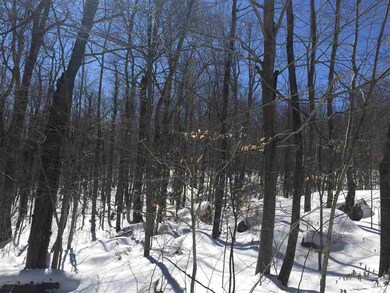 143 & 151 Tigola unit 143 & 151, Stoddard, NH 03464 - photo 6