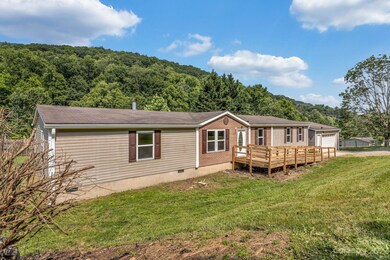 759 Starnes Cove Rd, Asheville, NC 28806 - photo 4