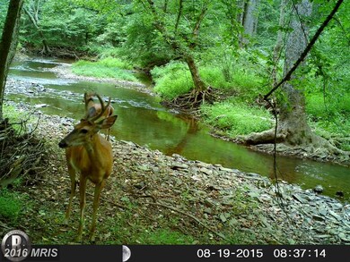 0 Old Foxville Rd unit 1002908400, Warrenton, VA 20186 - photo 4