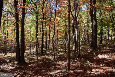 0 Back Rd unit VASH2007088, Toms Brook, VA 22660 - photo 4