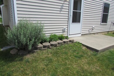 AREA FOR FLOWERS OF TOMATO PLANTS!