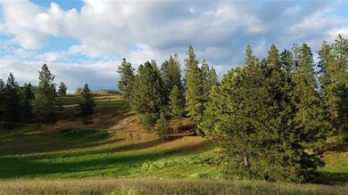 3905 W Crandall Ln, Spokane, WA 99208 - photo 4